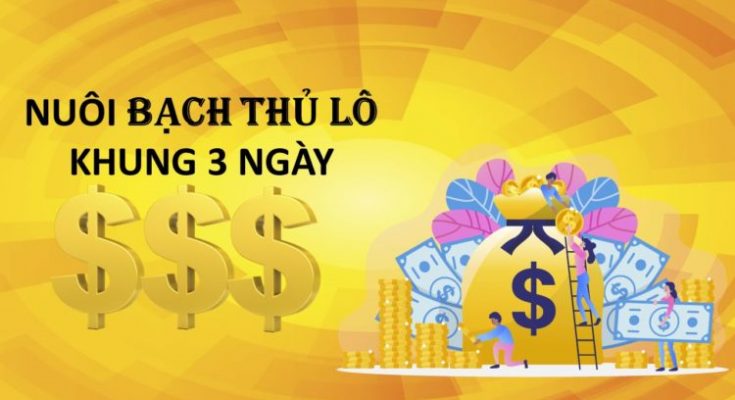 Cách nuôi lô bạch thủ khung 3 ngày chính xác 90%